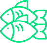 S1